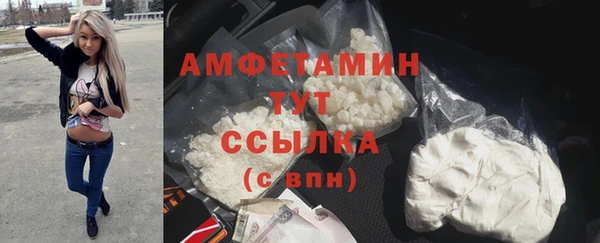 винт Алзамай
