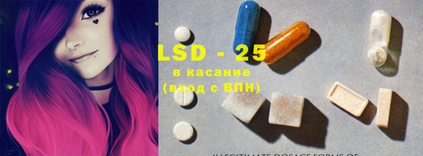 бошки Аркадак