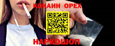 ГАЛЛЮЦИНОГЕННЫЕ ГРИБЫ Кингисепп