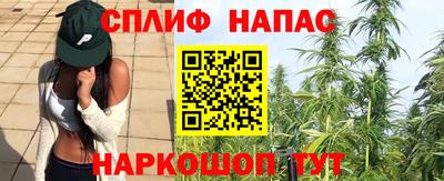 СК Кинель