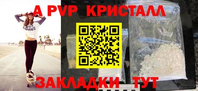 ГАЛЛЮЦИНОГЕННЫЕ ГРИБЫ Кингисепп