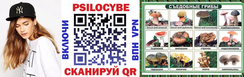 Псилоцибиновые грибы Cubensis  Чернушка 