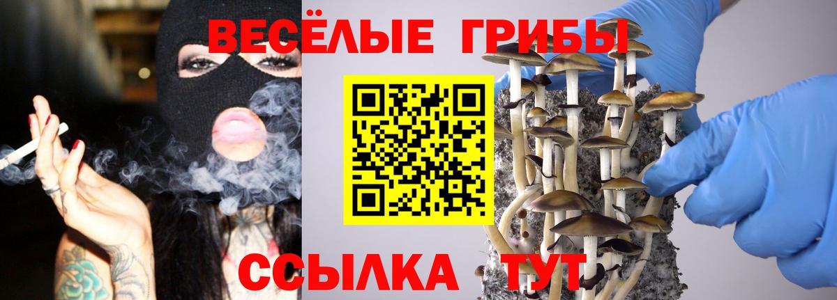 Псилоцибиновые грибы мицелий  Вход с VPN  цены наркотик  Псилоцибиновые грибы GOLDEN TEACHER  Чернушка 